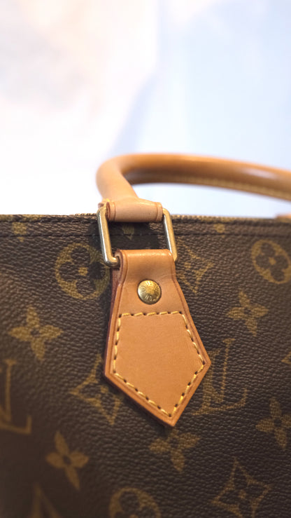 LOUIS VUITTON Speedy 30 handbag 手袋 側背袋 送真皮可調節肩帶